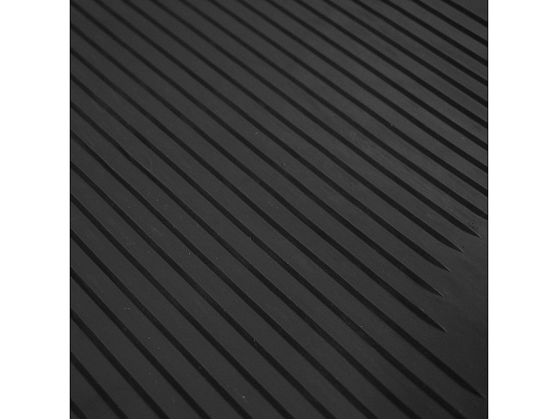 Гумени стелки  Audi A4 (B7) (2005-2007)